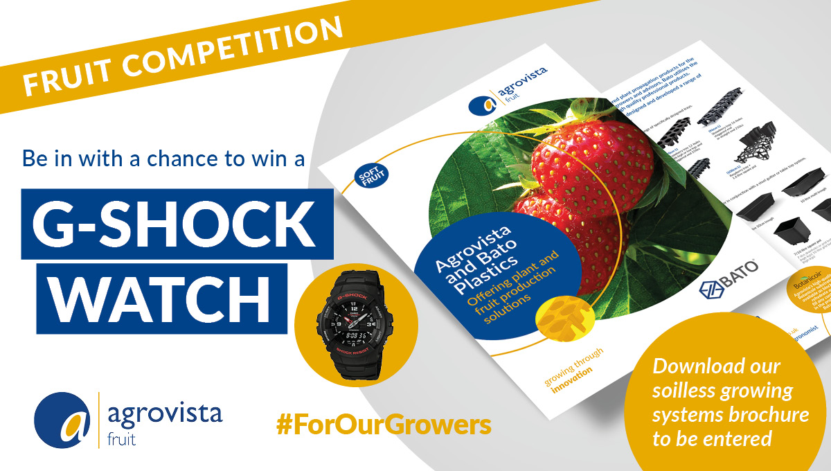 AgrovistaUK Fruit (@agrovistafruit) on Twitter photo Register your details and download our latest <a href="/BatoPlastics/">Bato Plastics</a> soilless growing systems brochure to be in with a chance of winning a G-Shock watch. For more information and to enter click here: bit.ly/3eAHPxU #Fruit #Bato #ForOurGrowers Register your details and download our latest <a href="/BatoPlastics/">Bato Plastics</a> soilless growing systems brochure to be in with a chance of winning a G-Shock watch. For more information and to enter click here: bit.ly/3eAHPxU #Fruit #Bato #ForOurGrowers