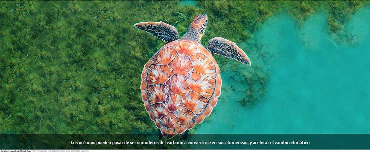 ¡Solicita una subvención para proteger el medioambiente! on.rotary.org/3aQ7LF1 Estamos en una carrera contra el reloj y necesitamos la ayuda de todos para implementar proyectos que corrijan el daño que hemos causado: on.rotary.org/3roDqmX
