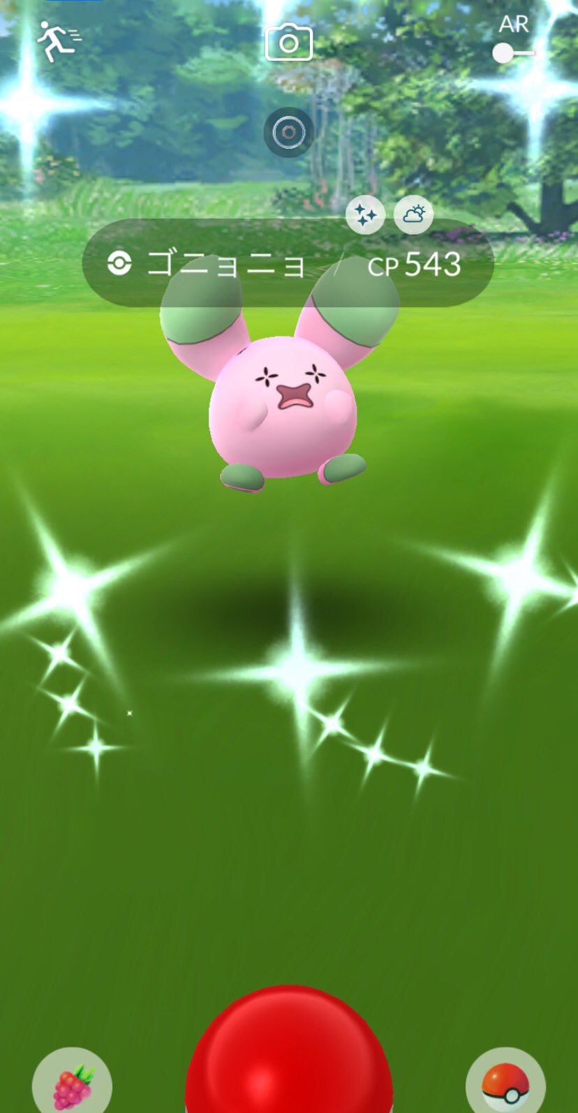 もちきっきくん ポケモンgo Fest21より イロチのタブンネとゴニョニョーーーー タブンネ 色違い ゴニョニョ色違い T Co Wm5bco3rms Twitter