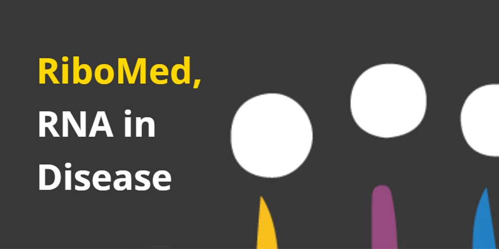 RiboMed (@ribomed_eu) on Twitter photo 📢 1st edition of <a href="/RiboMed_EU/">RiboMed</a> Newsletter is out now 👉 bit.ly/2UhYsrv
<a href="/IMMolecular/">iMM</a> <a href="/MDC_Berlin/">Max Delbrück Center</a> <a href="/UniofOxford/">University of Oxford</a> <a href="/WeizmannScience/">Weizmann Institute</a>
#RiboMed #RNA 📢 1st edition of <a href="/RiboMed_EU/">RiboMed</a> Newsletter is out now 👉 bit.ly/2UhYsrv
<a href="/IMMolecular/">iMM</a> <a href="/MDC_Berlin/">Max Delbrück Center</a> <a href="/UniofOxford/">University of Oxford</a> <a href="/WeizmannScience/">Weizmann Institute</a>
#RiboMed #RNA