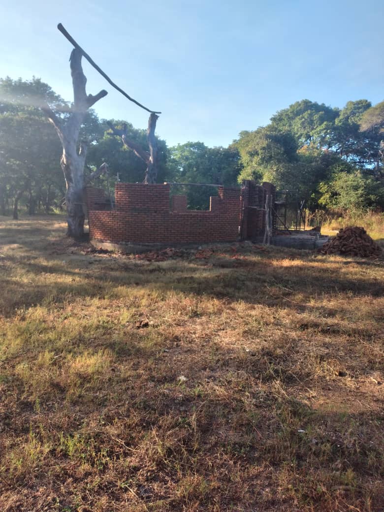 African Bat Conservation tweet media