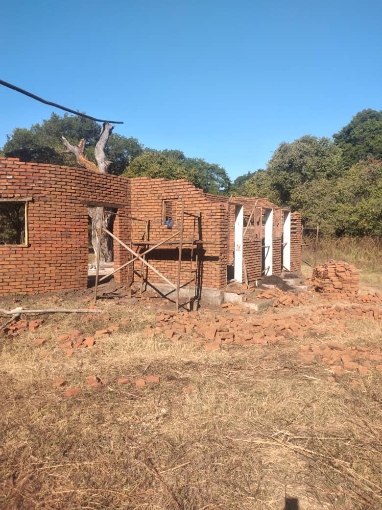 African Bat Conservation tweet media