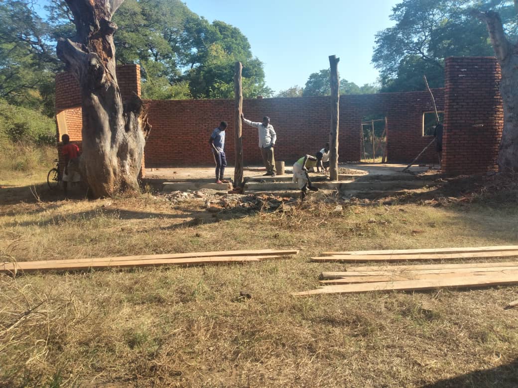 African Bat Conservation tweet media