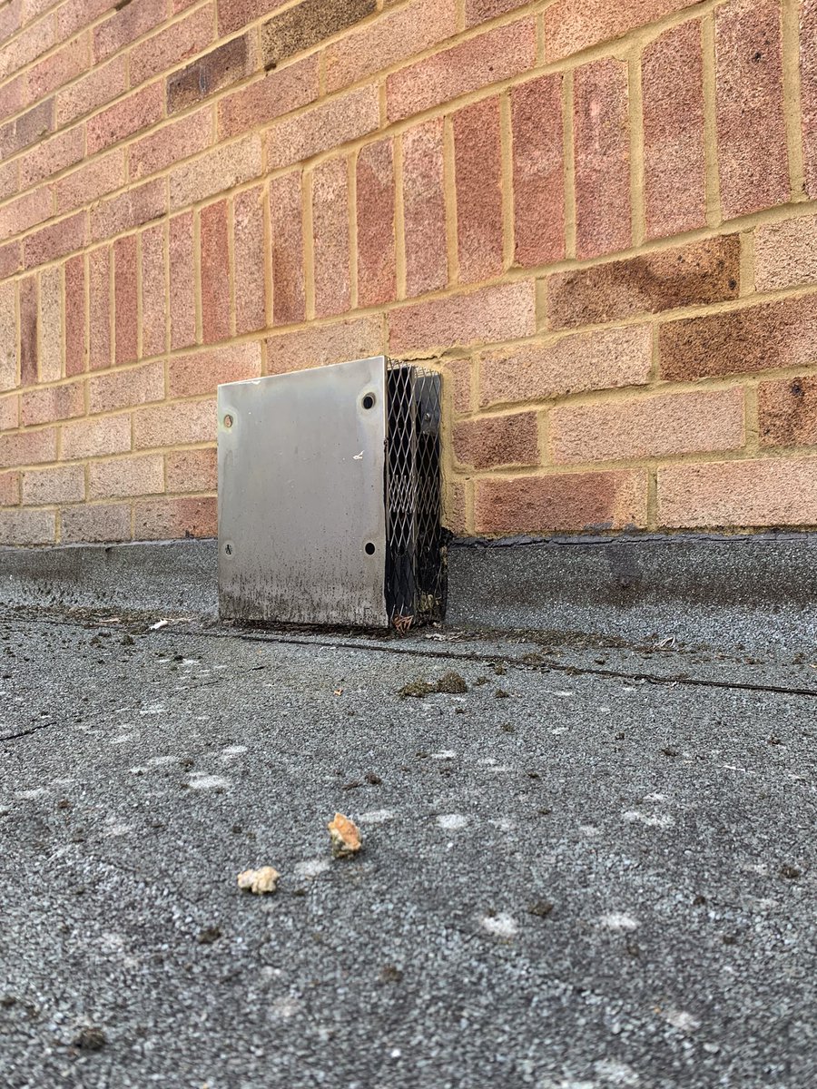 woking_plumbers's tweet photo. @gassafetyheroes another for ya #arefluekiddingme https://t.co/LE9CWJYV62