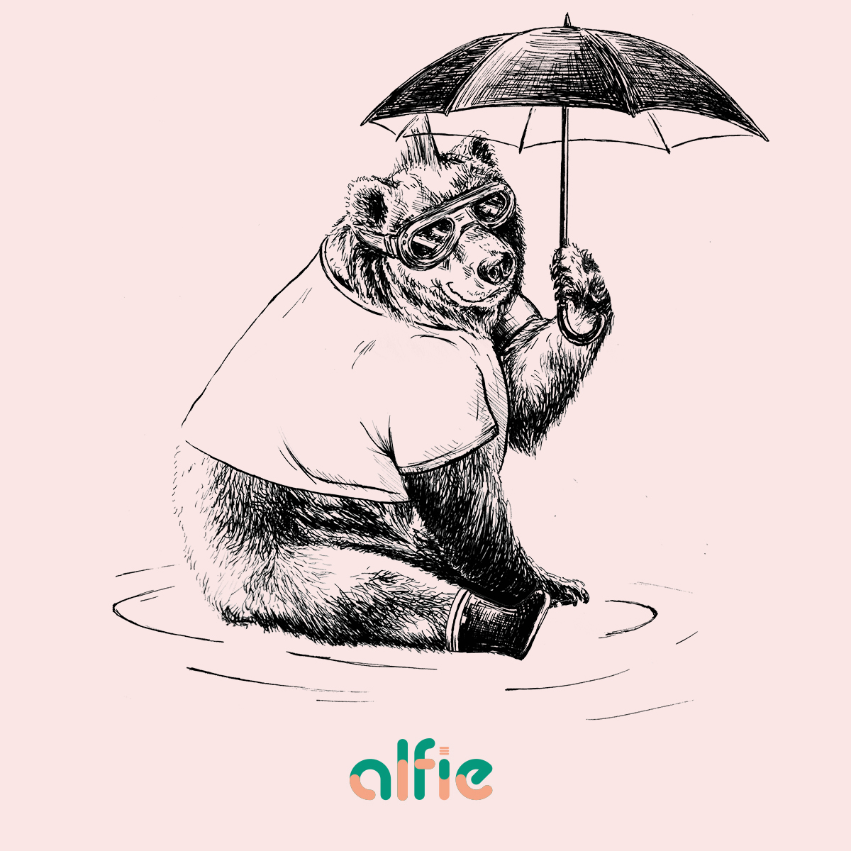 alfie formation 🐻 tweet media