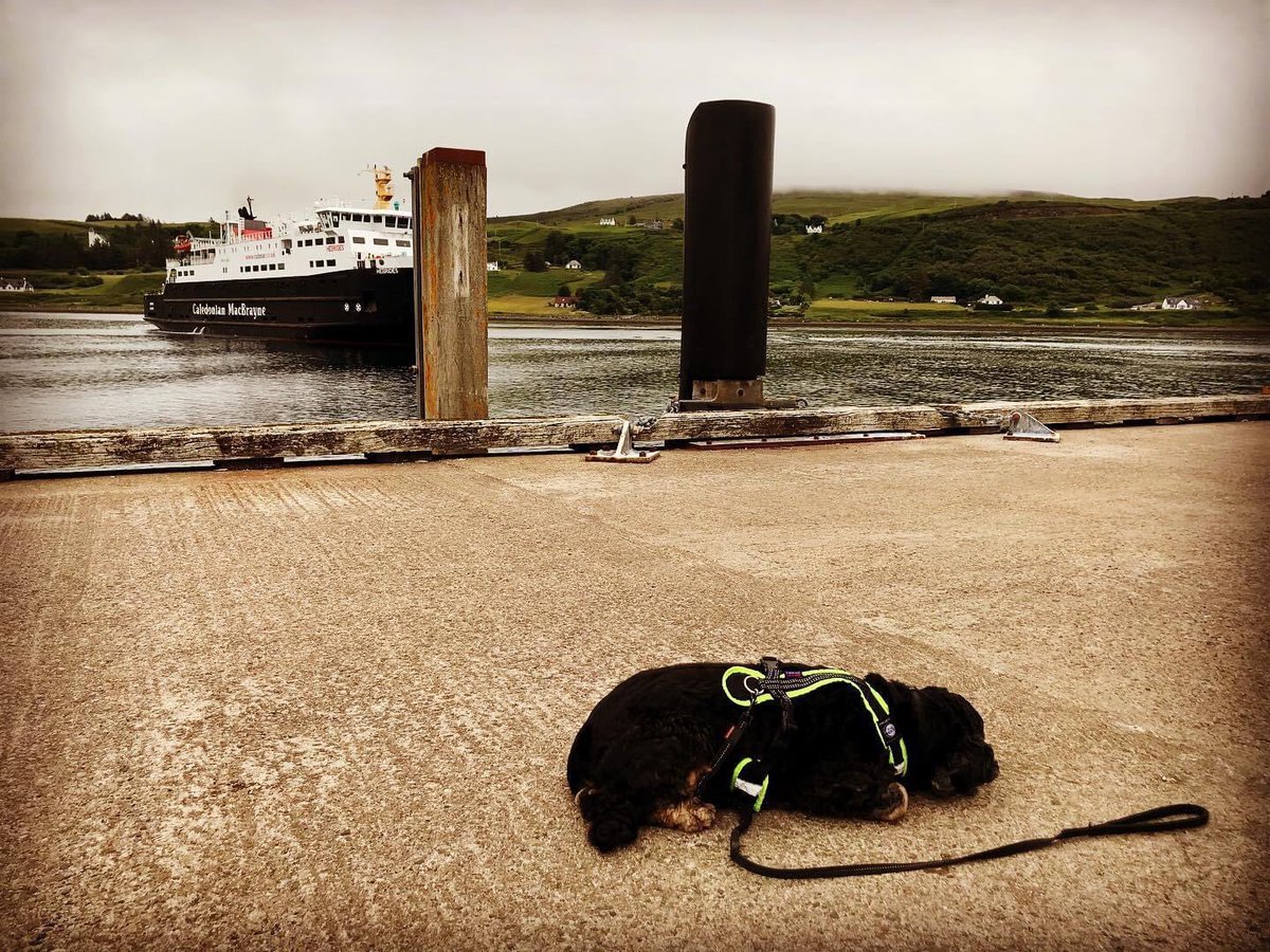 Pippa Gardner (@pippagardner) on Twitter photo Not sure Mabel ๐ฉ has noticed the rather large โด approaching behind her.
Can only mean one thingโฆ next stop #isleofharris <a href="/irene160542/">Irene Goodfellow</a>
๐ ๐ด๓ ง๓ ข๓ ณ๓ ฃ๓ ด๓ ฟโฐ๐ป Not sure Mabel ๐ฉ has noticed the rather large โด approaching behind her.
Can only mean one thingโฆ next stop #isleofharris <a href="/irene160542/">Irene Goodfellow</a>
๐ ๐ด๓ ง๓ ข๓ ณ๓ ฃ๓ ด๓ ฟโฐ๐ป