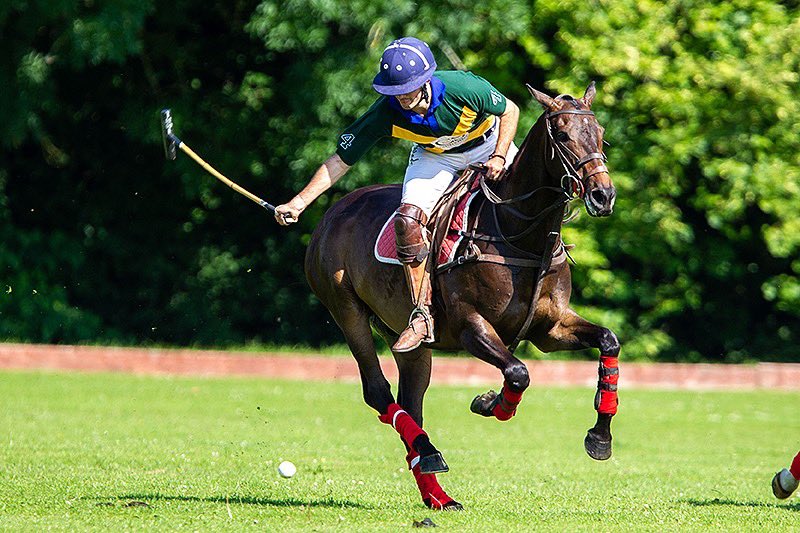 British Army Polo tweet media