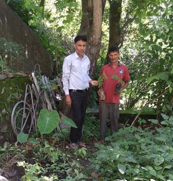SManojSati's tweet photo. अधिक से अधिक पौधे लगाओ
#पर्यावरण को हरा-भरा बनाओ

कुछ दिनों से चल रही बारिश के कारण मिट्टी में नमी बनी हुई है इसलिए पौधारोपण के लिए यह बहुत अच्छा समय है। इस समय का सही उपयोग करने के लिए आज अपनी नर्सरी में तैयार फलदार, चारा पति के पौधों का वितरण किया।

#SaveEnvironment https://t.co/Ba8yVDZsIG