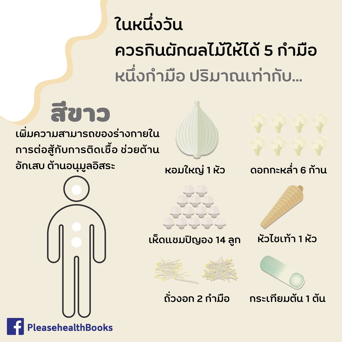 thidakarn's tweet photo. เรามักได้ยินคำแนะนำให้กินผักผลไม้ 5 กำมือต่อวัน แต่อาจนึกภาพไม่ออก ว่า 5 กำมือ คือปริมาณเท่าไร ทำเป็นตย.ง่ายๆสำหรับผักผลไม้แต่ละสีค่ะ https://t.co/qK9bFbhTUr