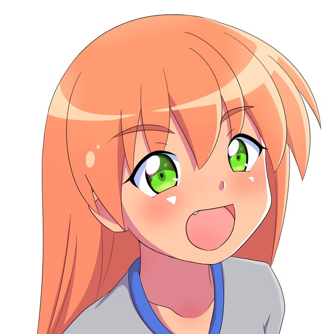 単体ほむちゃんズ 