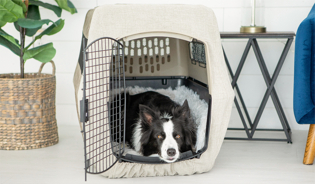 How To Make A Dog Kennel More Comfortable