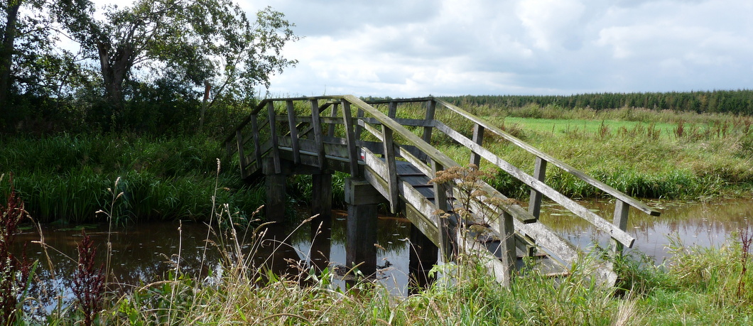 davidesworld's tweet photo. Een prachtig wandelpad in een stille uithoek van Nederland. Een absolute aanrader: https://t.co/gbLu7Q69KB

#westerwoldepad #noaberpad #hiermoetjezijn https://t.co/6zj77XDBue