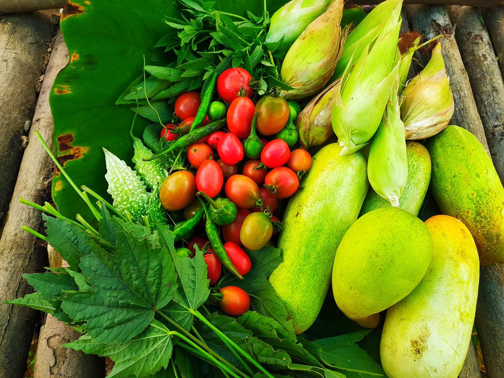 ILoveTseminyu's tweet photo. If you have a Rengma friend, don’t forget to ask them locally grown veggies 😉

@UberEats @TribalAffairsIn @MhathungYantha2 @KaitoAye @CmoNagaland @incredibleindia

#ILoveTseminyu #Tseminyu #Rengma #Naga #TogetherWeCan #KnowAboutUs #ShareYourStory #NorthEast #Tribal #Vocal4Local https://t.co/K5GEjoCYI6