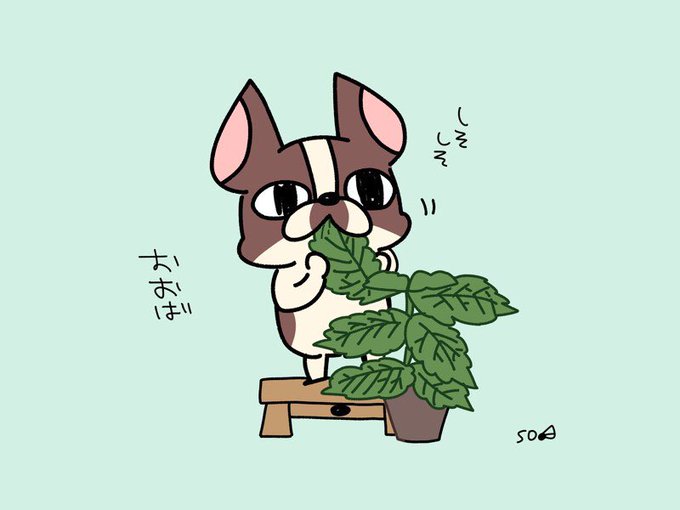 フレンチブルのtwitterイラスト検索結果 フレンチブルのtwitterイラスト検索結果