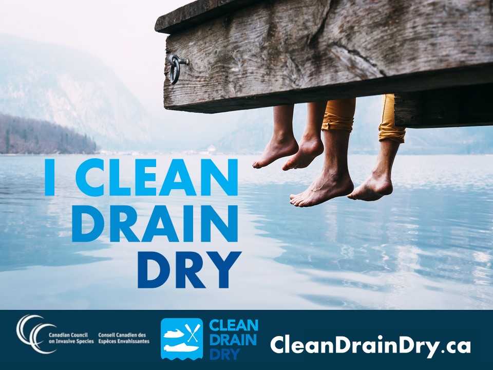Protect the health of our waters! 🐟
Stop invasions before they happen by Clean, Drain and Drying your watercraft and water gear! #CleanDrainDry
Our ecosystems will thank you! 👍
Visit CleanDrainDry.ca to take the pledge!