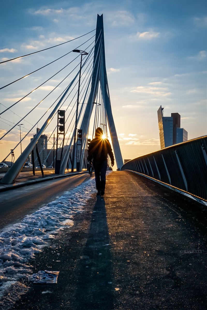 RayB333's tweet image. Dag 7 (deel 3/3): Twitter foto challenge #silhouette #silhouet #twitterfotochallenge21 #Rotterdam #Erasmusbrug