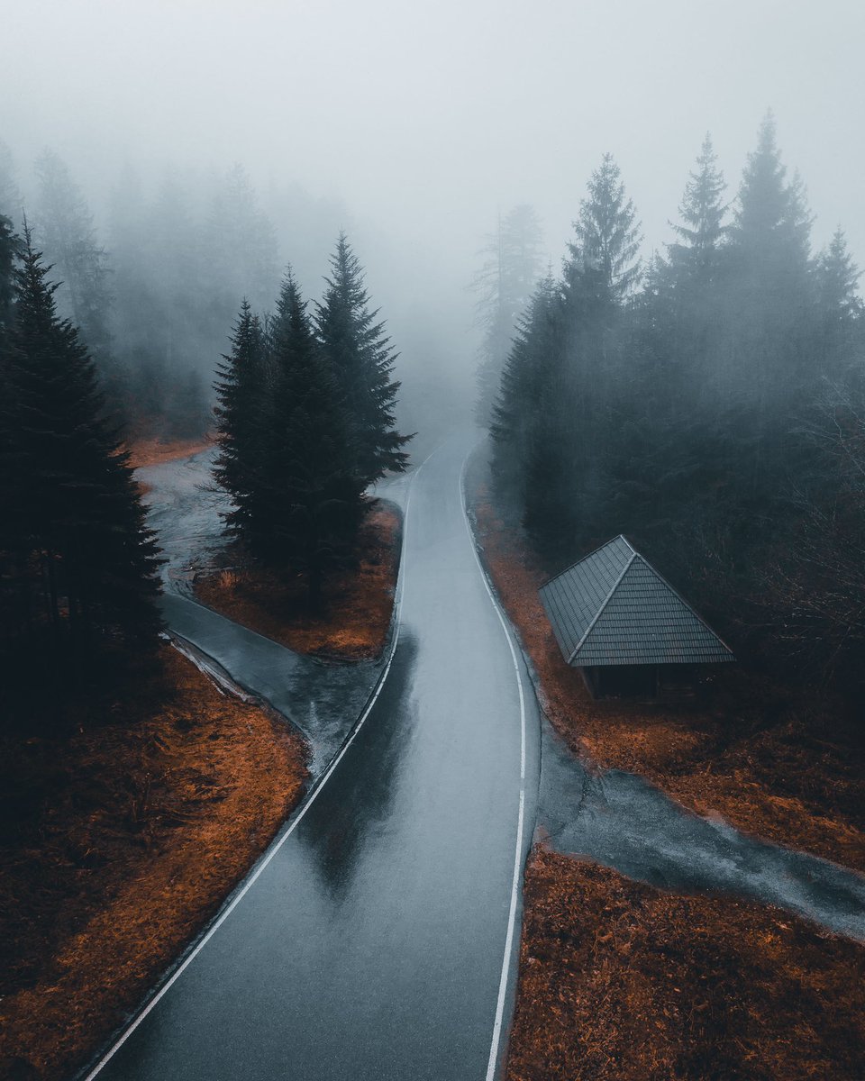 fabian_huebner_'s tweet photo. Black Forest mood. https://t.co/btNytu5CJZ