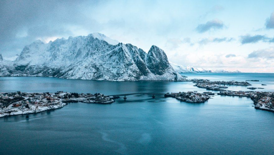 Contemporary Nomad tweet media