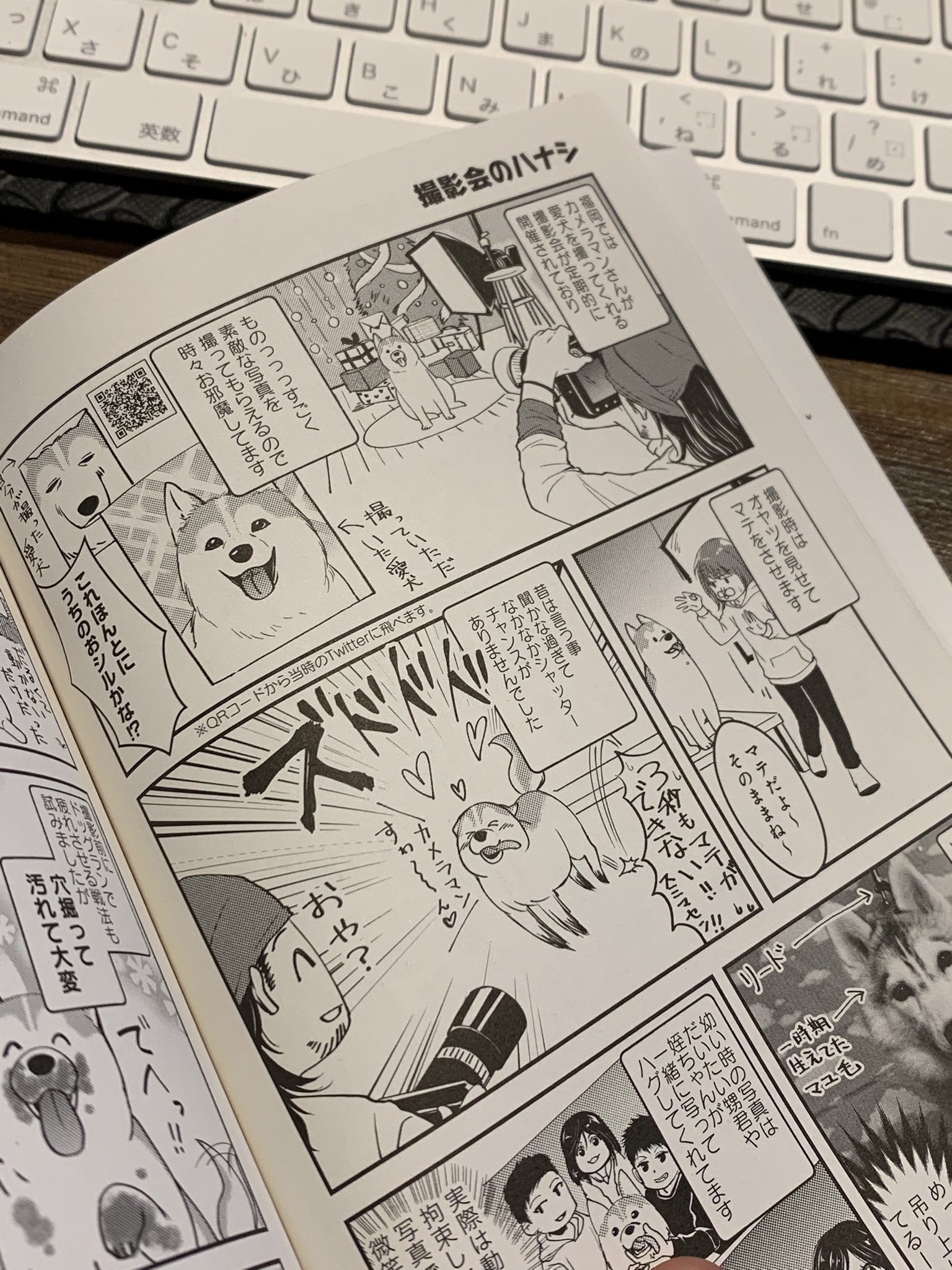 マツモトカズオ Steeldog Photo Twitter