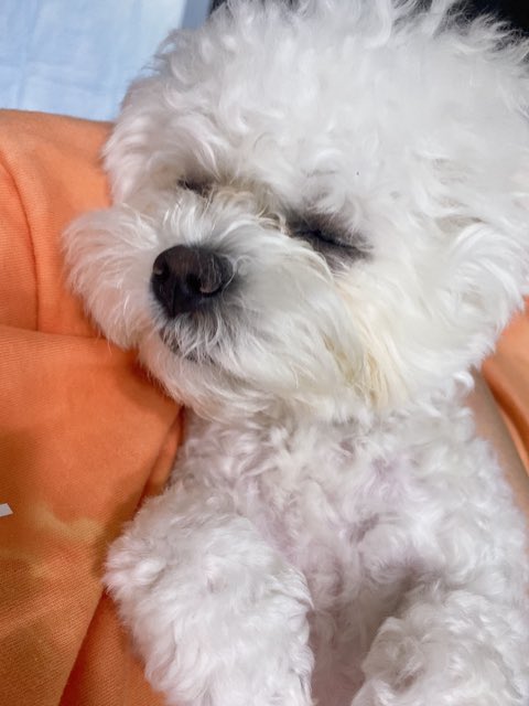 bravestUNA's tweet photo. [TRANS/FANCAFE] From. Brave Girls

[Eunji] Fearless!!!! Check in right now!!!!! https://t.co/5pgFnJf4b8