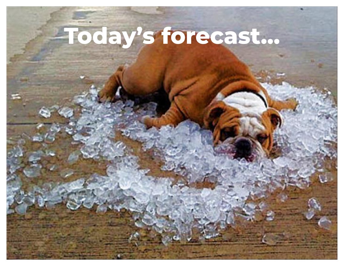 NeosSmartHome's tweet image. Keep cool everyone! You can also keep an eye on the temperature in your home with Neos Smart Leak Sensor 🌡 Perfect for looking after your pets 🐶 &amp;amp; plants 🌱

bit.ly/NeosSmartLeak #MondayMemes #DogDays