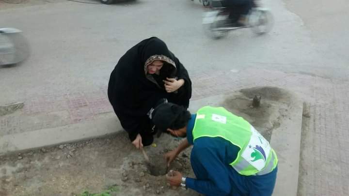 BhuttoNazia_PPP's tweet photo. Plantation by #Ajjar foundation
#Ajjarcleanandgreenhydcampaign
#goodenvironment
#safetree
#Plantation https://t.co/02rTMd4im9
