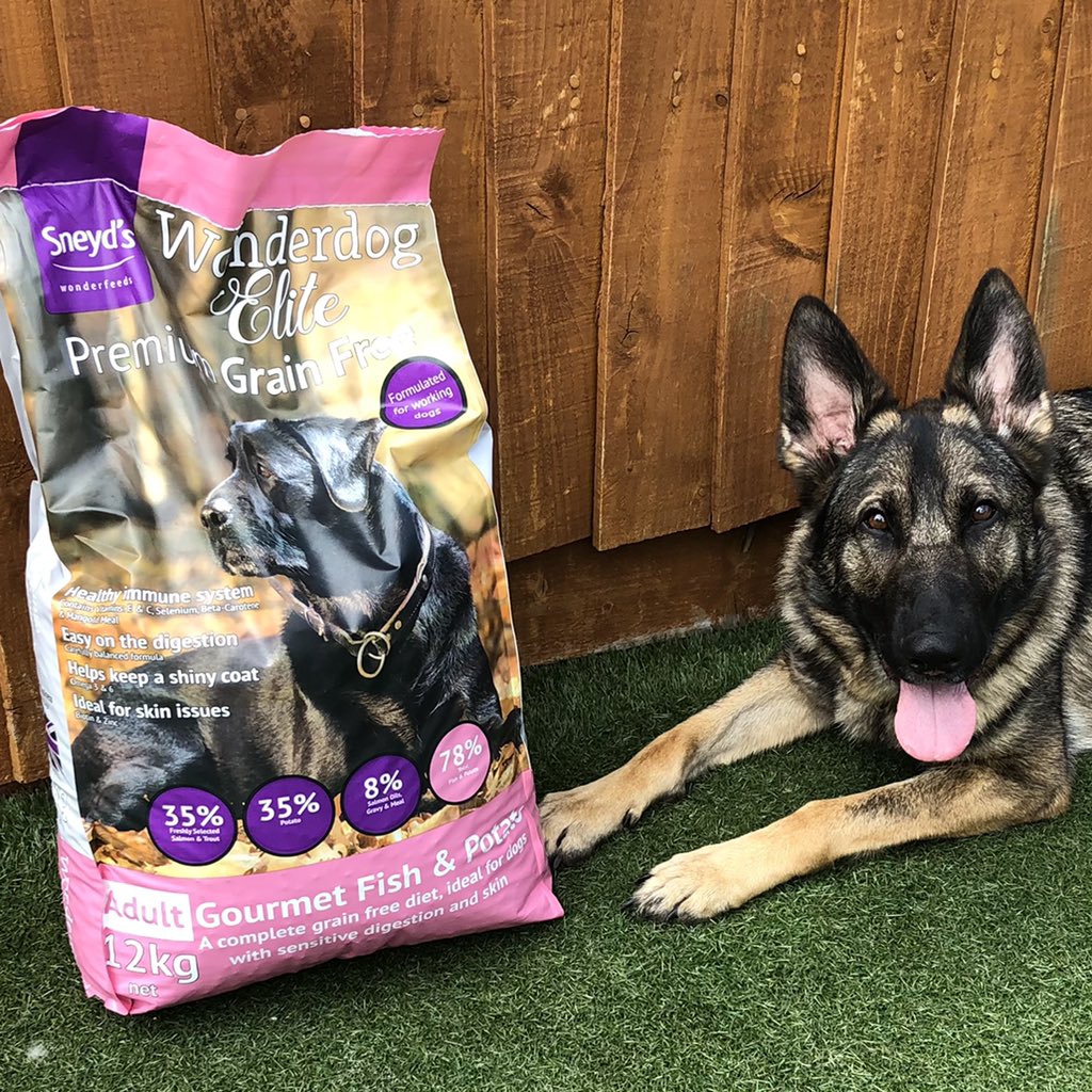Veza (@vero4057) on Twitter photo Proud to say that Kez has kindly been sponsored by <a href="/SneydsWonderdog/">Sneyd's Wonderfeeds</a> Looks like she can’t wait to tuck in 🍗🐾 #workingdog #searchandrescuedogs #volunteers #grateful #thankyou Proud to say that Kez has kindly been sponsored by <a href="/SneydsWonderdog/">Sneyd's Wonderfeeds</a> Looks like she can’t wait to tuck in 🍗🐾 #workingdog #searchandrescuedogs #volunteers #grateful #thankyou