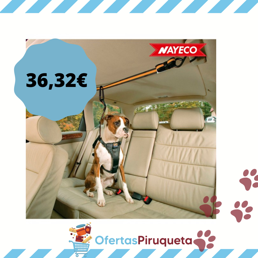 ofertapiruqueta's tweet photo. Os seguimos enseñando productos de esos que hacen tu vida y la de los tuyos más fácil. ¿Has visto ya nuestra sección mascotas? 😉
#cinturonperro #accesoriosmascotas #mascotas #tiendaonline #ofertaspiruqueta #ofertasonline #comprasegura #compraconunclic https://t.co/Ai1dufbajm