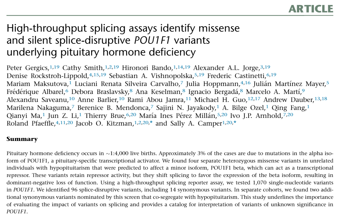 New paper in <a href="/AJHGNews/">AJHG</a> from the Camper and Kitzman <a href="/jacobkitzman/">jacob kitzman</a> labs! 
High-throughput splicing assays identify missense and silent splice-di... sciencedirect.com/science/articl…