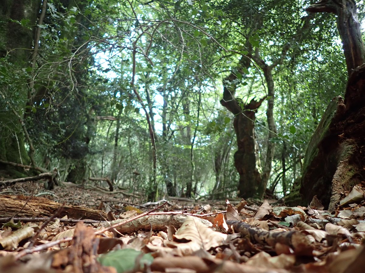 Are you a woman who loves to be outside? I'd love to get your opinion on whether you feel comfortable/safe in the countryside (or on the sea) when alone (and why) for an essay I'm writing for my masters. Maybe you never go out alone? Let me know 💚Also, RTs would be fab 👍