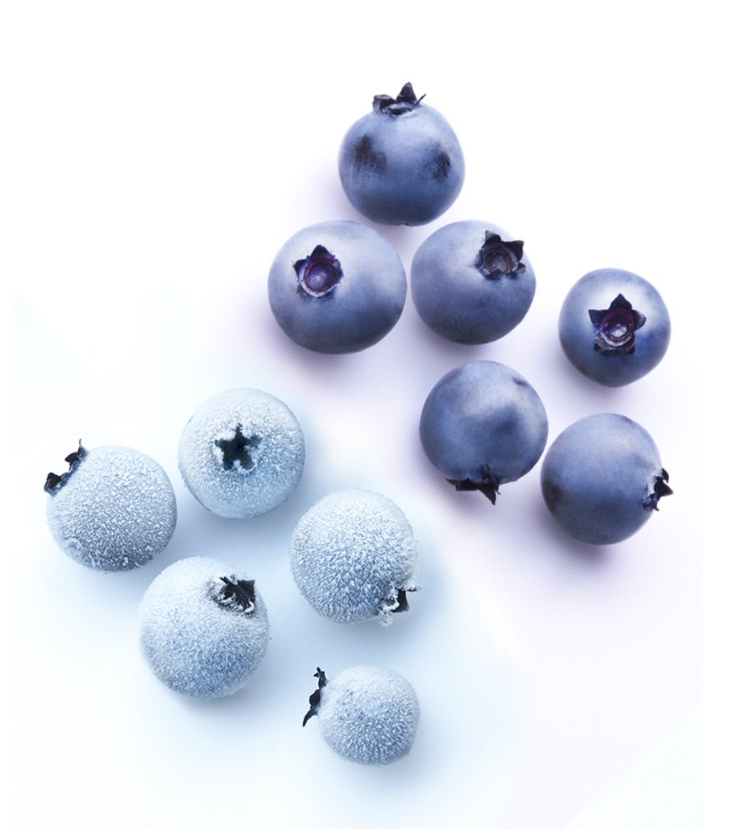 BlackGalley's tweet photo. #NewProduct made with #NBWildBlueberries Product will be released #NBDayweekend @BuyNewBrunswick @BuyLocalNB @NBCAPA #vodka #Gin #liquer #handcraftedinhanwell @DailyGleaner @CTVNews @Global_NB https://t.co/9ofGZxzsbi