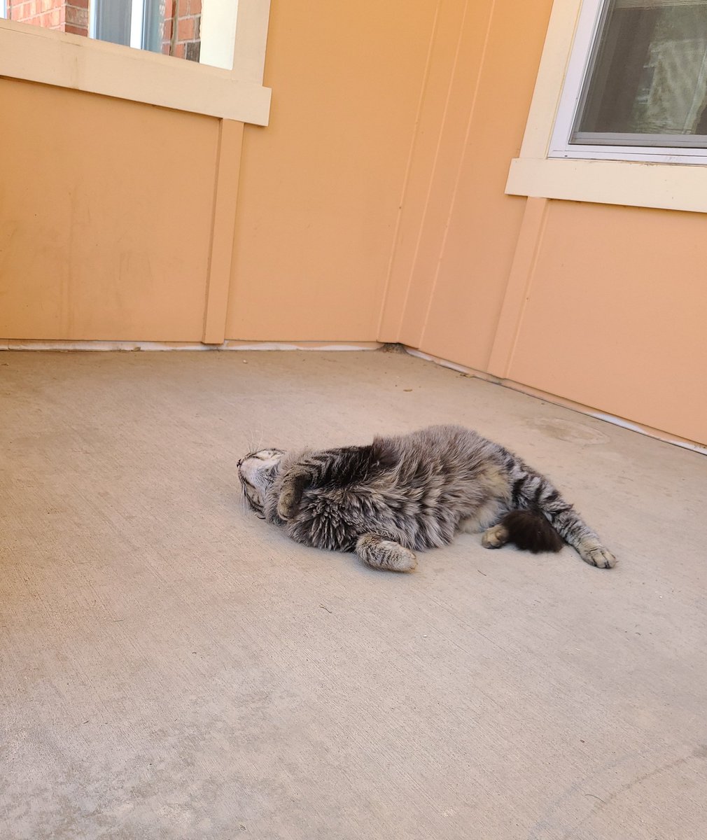 padilyeah's tweet image. 