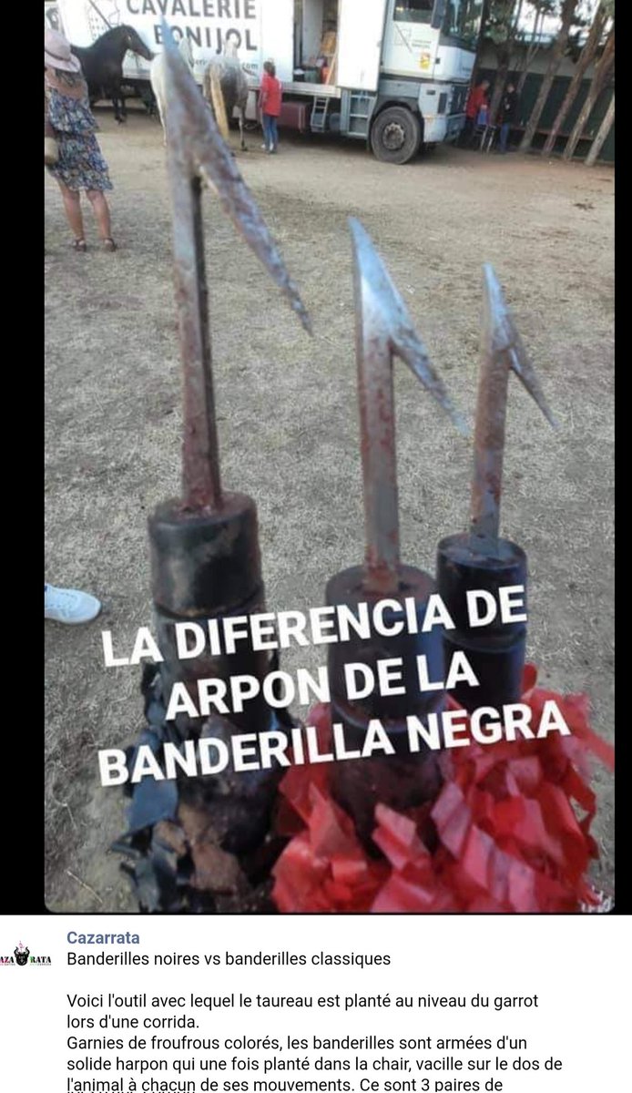 Bastet3413's tweet photo. #StopCorrida #Beziers @BeziersColbac @AllianceEthique @RobertMenardFR @onevoiceanimal @kreezy_r 
7cm de long pour les noirs, 4 cm pour les autres. Le tt bien enrubanné de papier coloré pour "dissimuler "et "enjoliver" l’instrument de torture. 6 harpons st enfoncés dans la chair ! https://t.co/vzHtPGl5NP