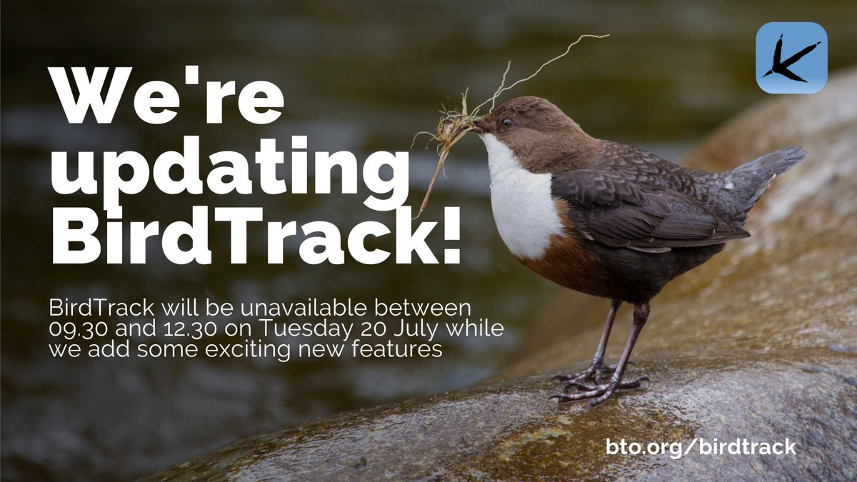 Ahead of some exciting new developments, we will need to make some changes behind the scenes. Whilst we make these changes both the #BirdTrack website and uploading from the app will be unavailable today between 09.30-12.30.