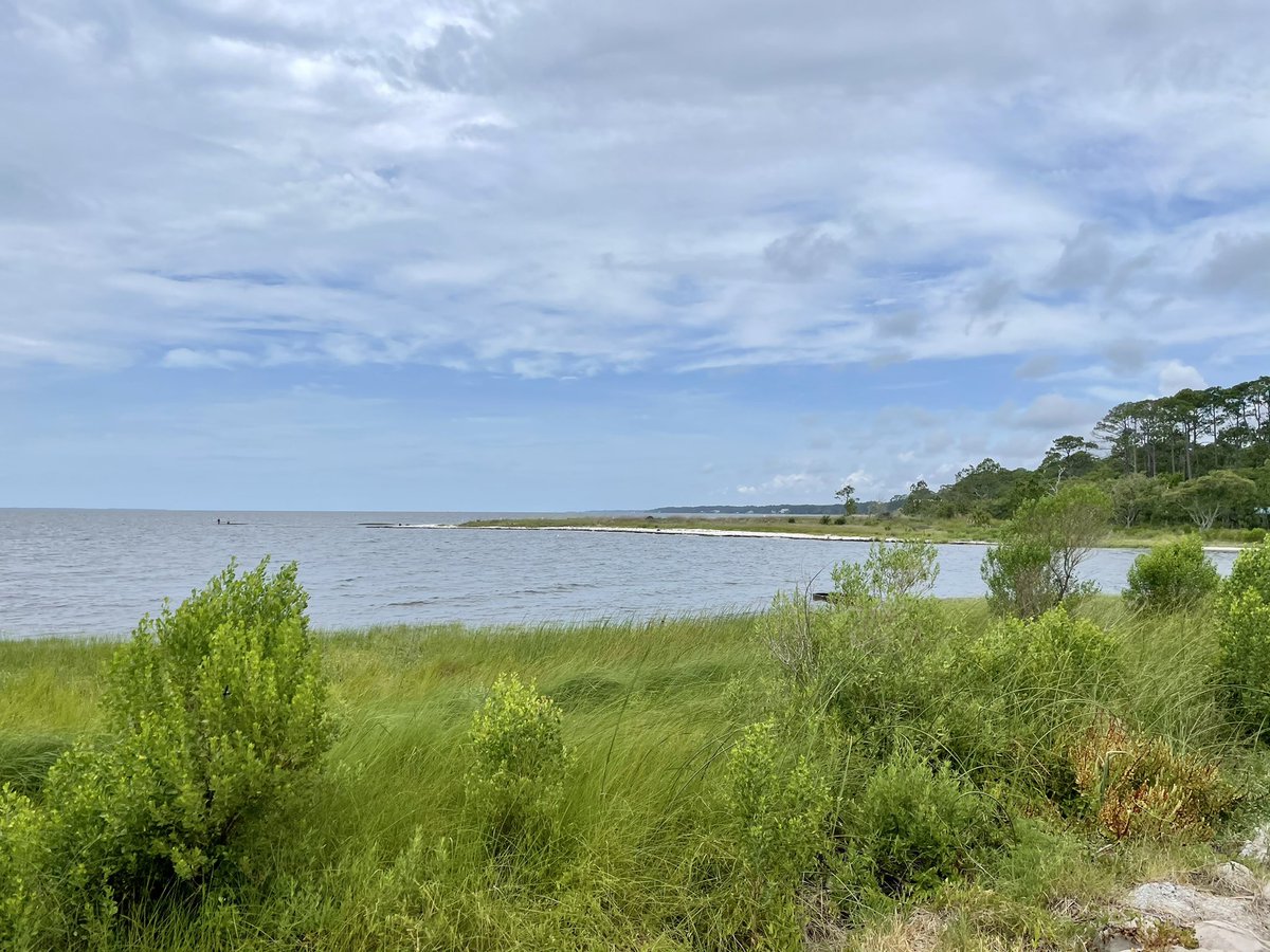 jonebr04's tweet photo. It was so refreshing being by the water for two weeks! Walking around the @fsumarinelab was such a relaxing way to take breaks from all the #microscope work! 

#nematodes #labwork #gradschool #science #marinebiology @meiolab @nprbarctic https://t.co/vFsvvqJSya