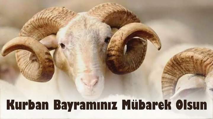 ahmet soykök (@ahmetsoykk) on Twitter photo 