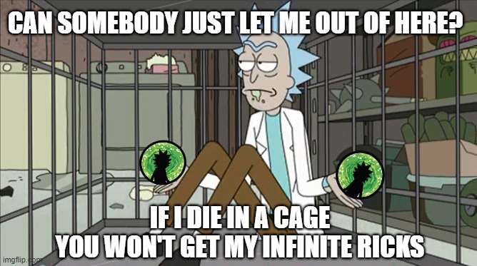 Infinite Ricks tweet media