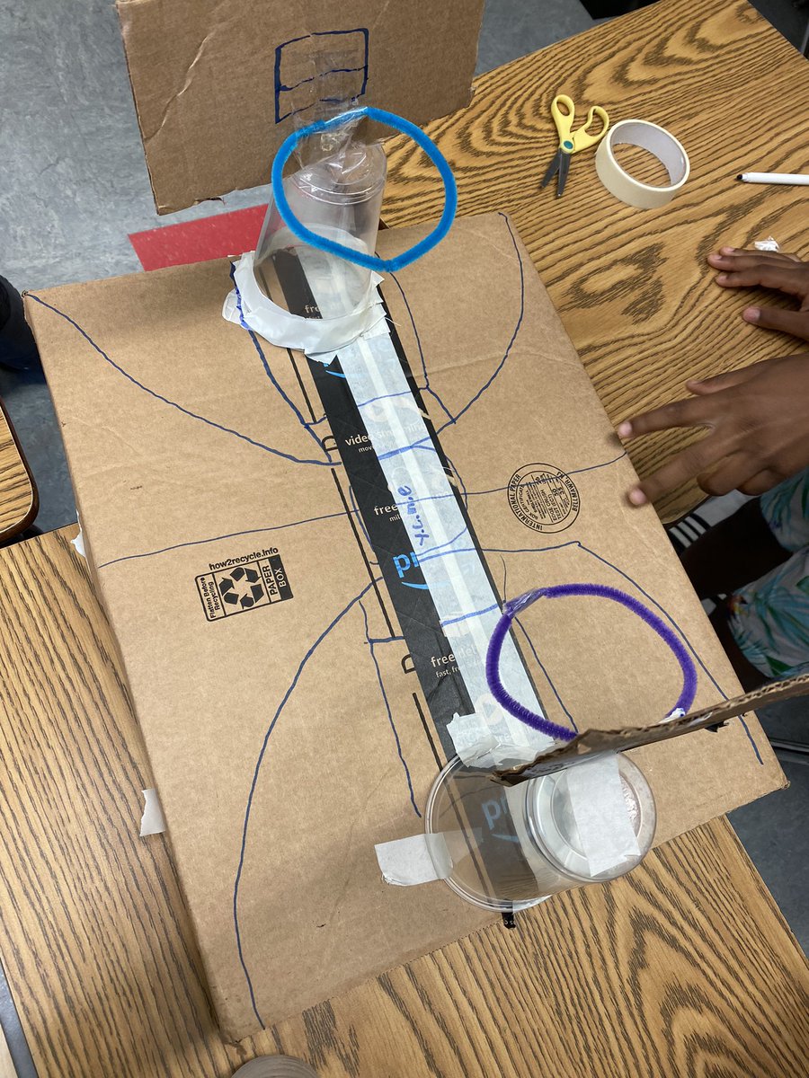 Alyssa Buttacavole tweet media