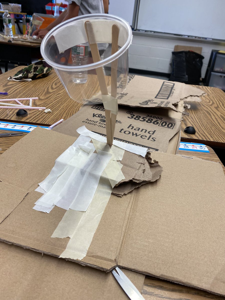 Alyssa Buttacavole tweet media