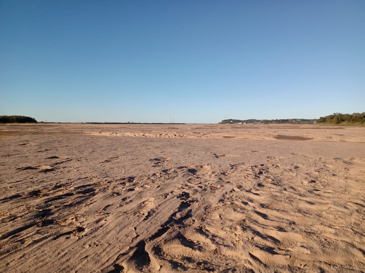 Nacho Lemus tweet media