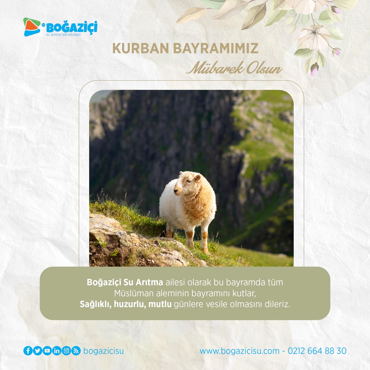 Kurban Bayramımız Mübarek Olsun.

Hep birlikte mutlu, sağlıklı, huzur dolu yarınlara...

#kurbanbayramı #bayram #hayırlıbayramlar #bayramınızkutluolsun #bayramınızmübarekolsun #eid #eidmubarak