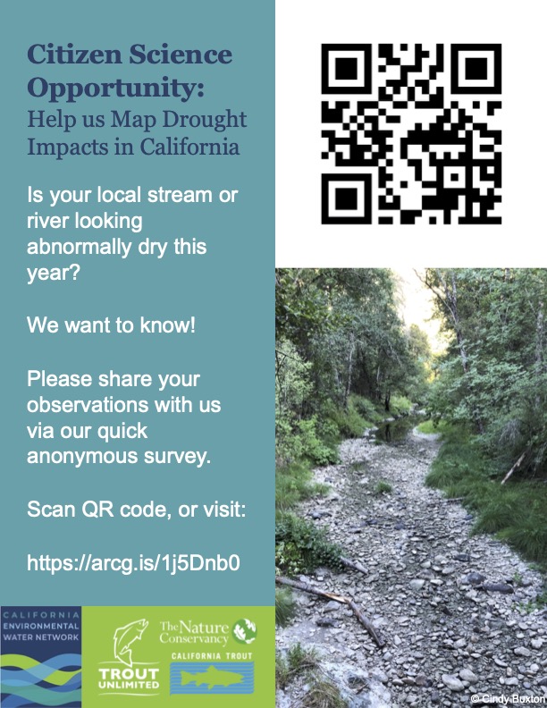 Conserve_CA's tweet photo. CITIZEN SCIENCE OPPORTUNITY💧: As Californians experience one of the driest years in history, TNC, @CalTrout, &amp; @TroutUnlimited have developed a tool to collect &amp; map locations where #CAdrought is visible across the state. 
 
Contribute your observations➡️ https://t.co/SUIuL2zfUy https://t.co/xZfI4eGhAL