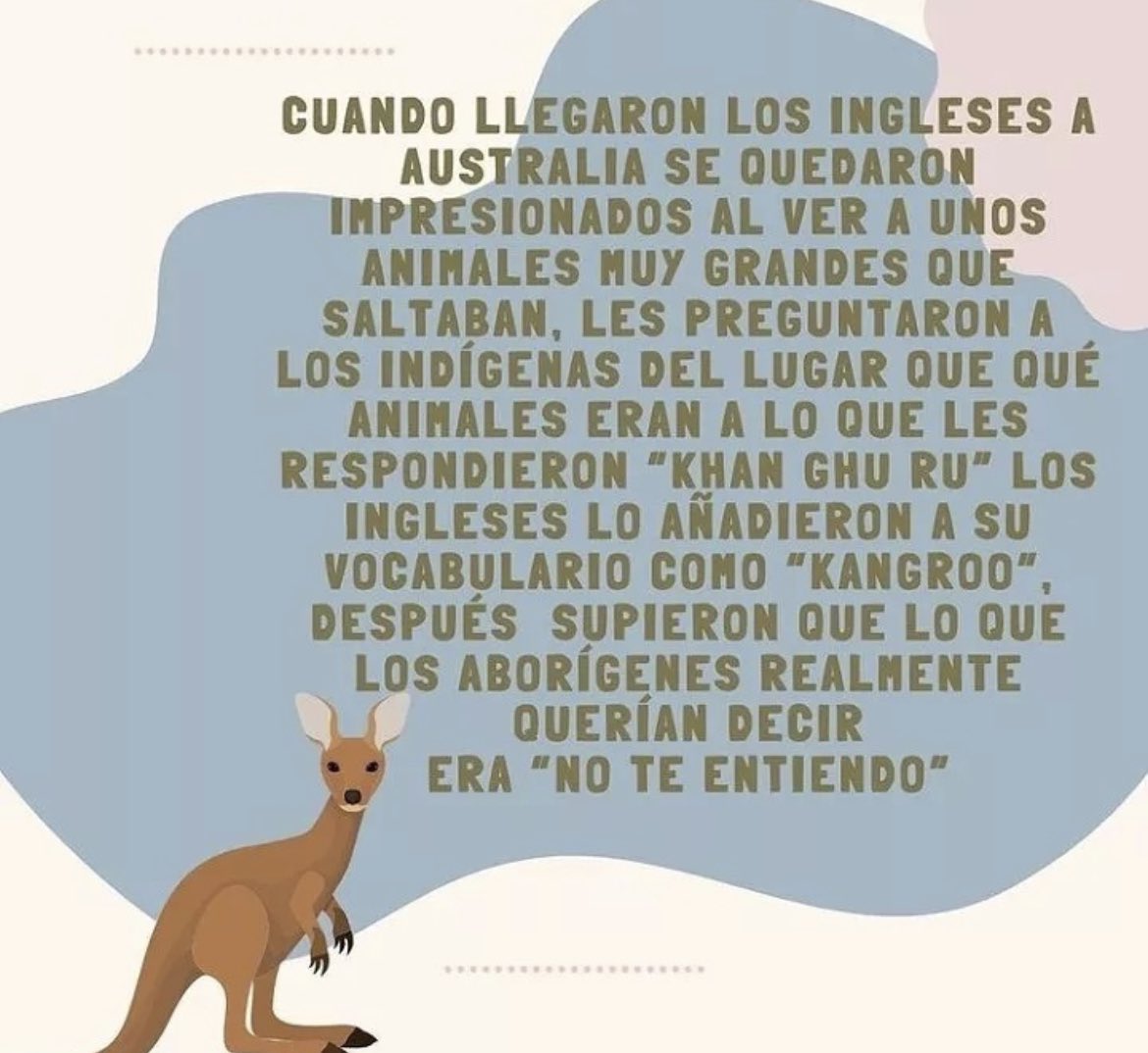 #Cosasqueanadieleimportan pero no sabía 🤷🏻‍♀️ el origen del nombre del canguro jajaja….#HappyMonday