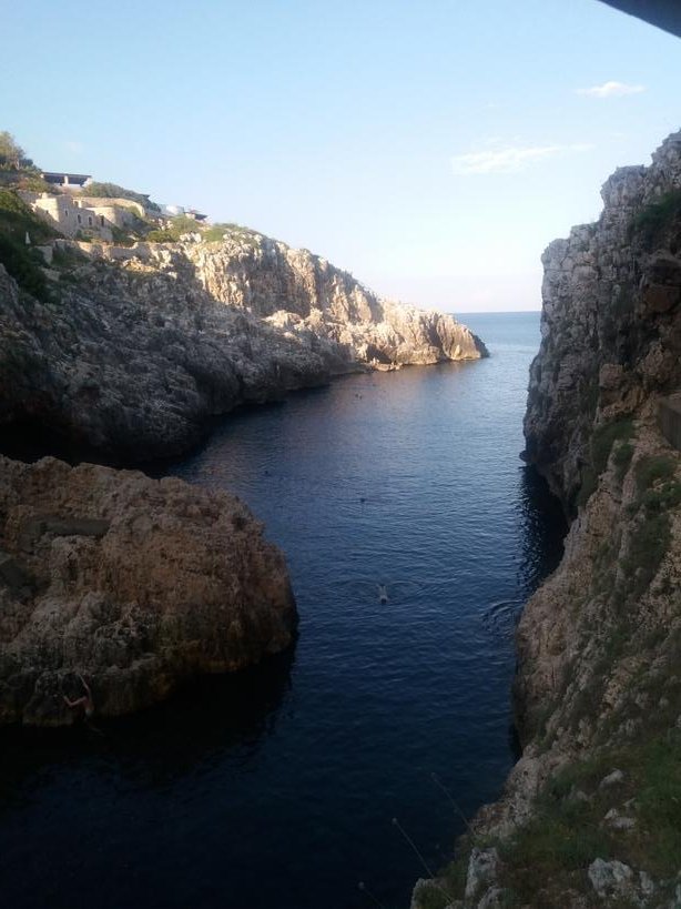 donata_accogli's tweet photo. #Ciolo #Salento https://t.co/T6vXtjDPgJ
