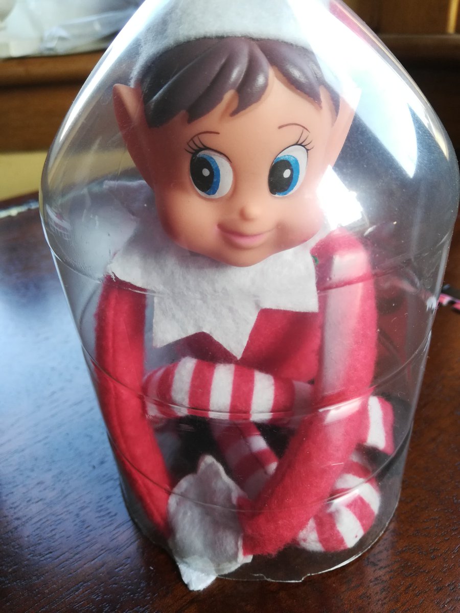 AlwaysJaxDee's tweet photo. So Eddie the Elf is a regular @CRUKEPortobello festive volunteer but when he found out I had to self isolate for 2 weeks he decided to keep me company! #ThinkHeMisheard #ElfIsolation https://t.co/gcNXBfIZLf