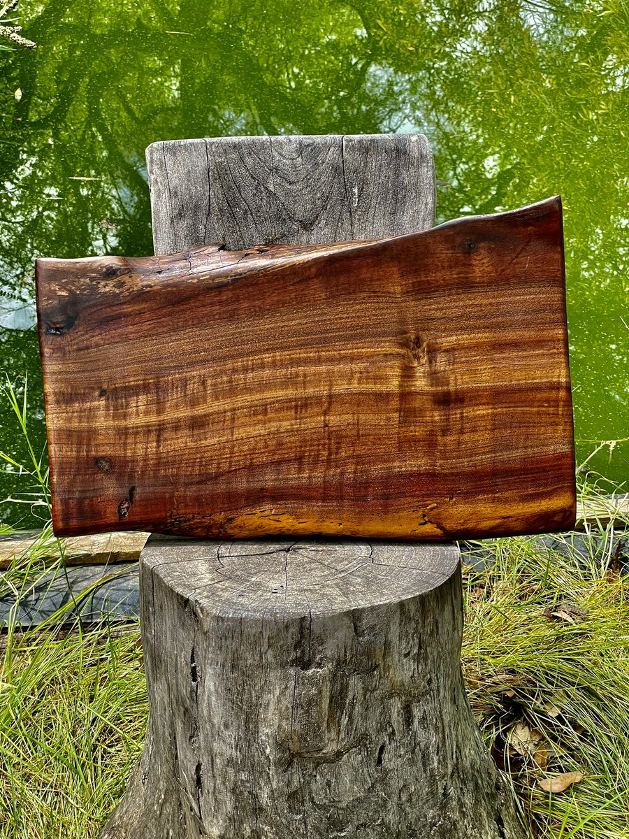 Anderson_Bros_'s tweet photo. Black walnut &amp; Turquoise https://t.co/R2r3b40tGZ