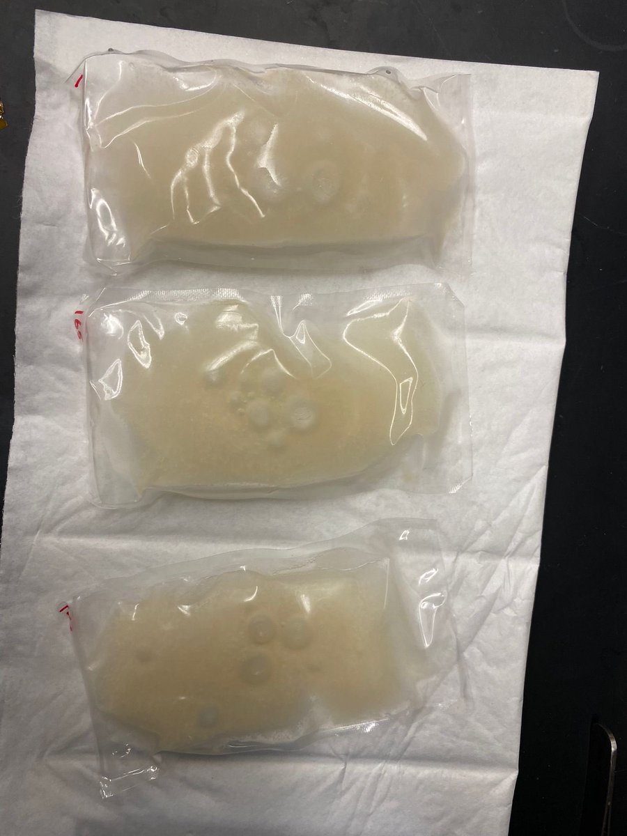 MME_spaceworms tweet media