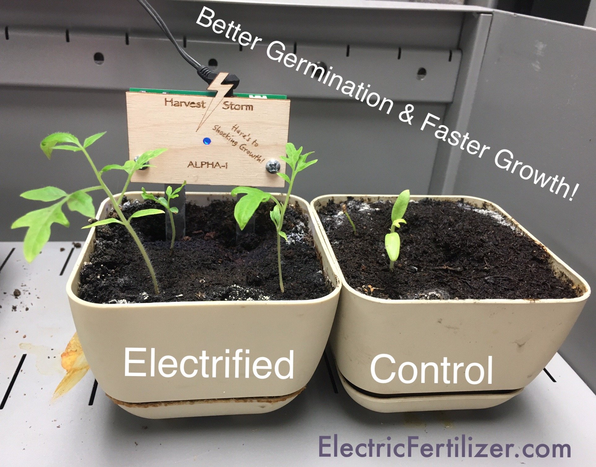 EnergeticAgriculture on X: Enjoy faster plant growth with #electroculture   / X