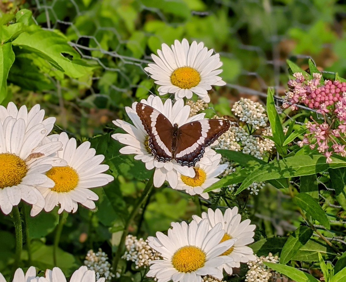 Jag Dhonsi tweet media