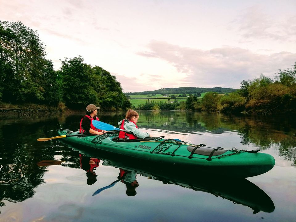 tours_perth's tweet photo. LAST CHANCE TO JOIN US ON A GUIDED WILDLIFE SAFARI 

Working together with Perthshire Wildlife and Outdoor Explore we would like to invite you to see the most unique side of Perth.

BOOK HERE: https://t.co/0yDI1aAVf8 https://t.co/Jqp9dVtFMX